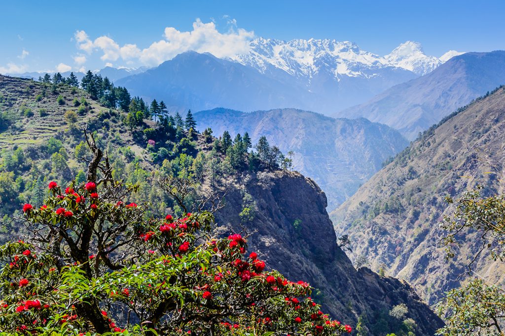 Langtang Valley Trek to Kyanjin Gomba - 11 days
