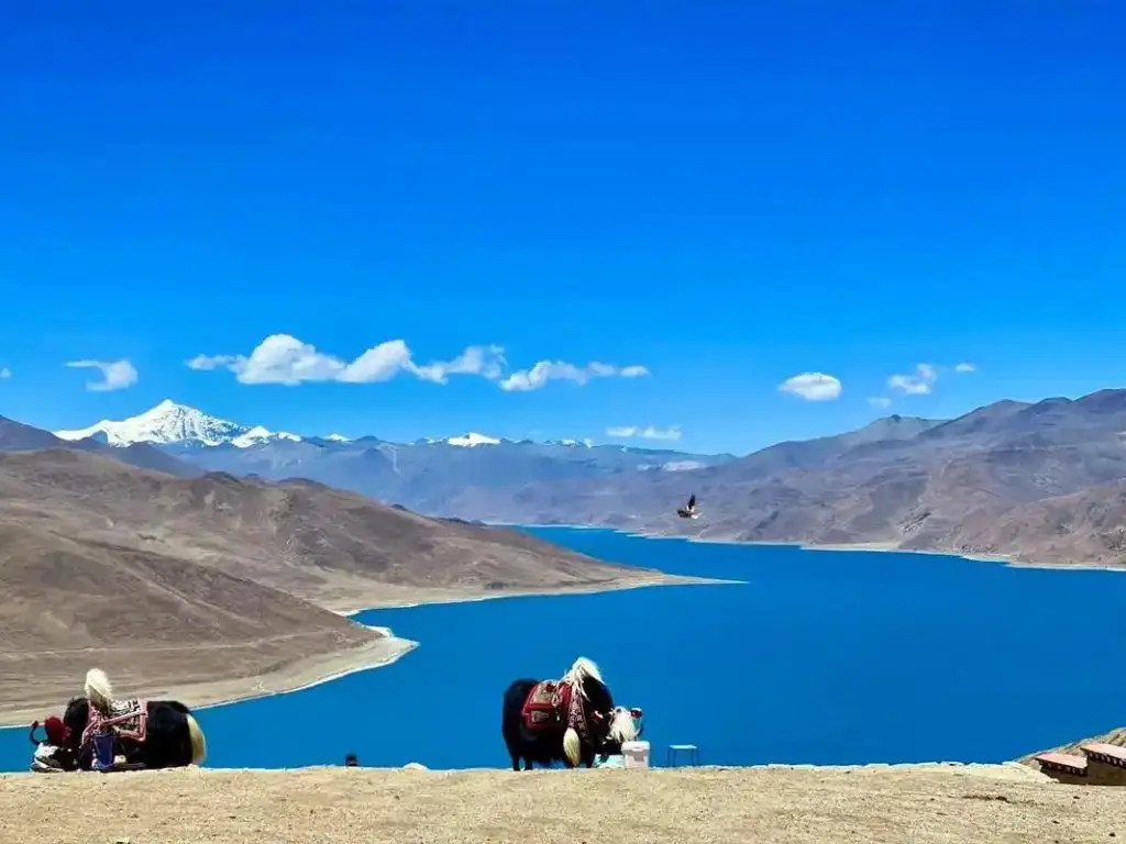 Kailash-mansarovar-lake