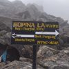 Rupina-la-manaslu-trek